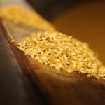 malt