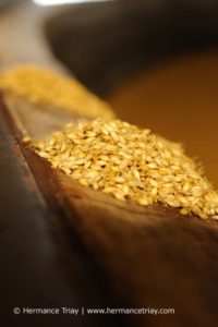 malt